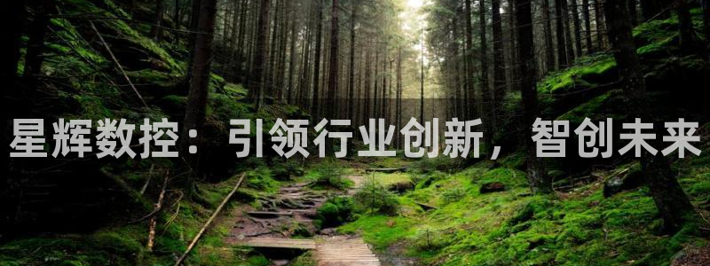 天辰宝娱乐：星辉数控：引领行业创新，智创未来