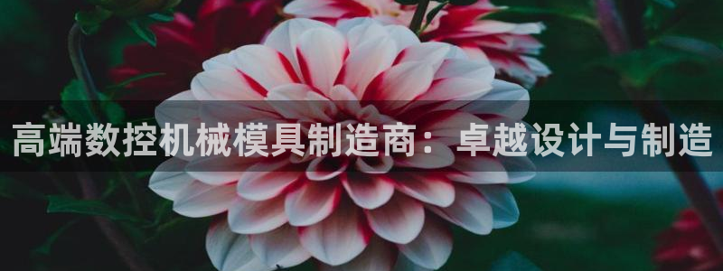 天辰娱乐天辰宝