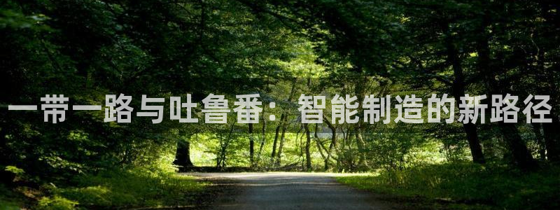 大同天辰娱乐