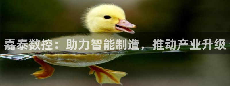 天辰娱乐84566