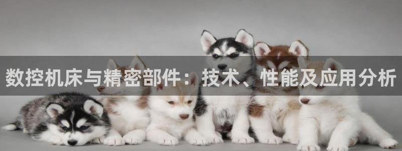 天辰 娱乐