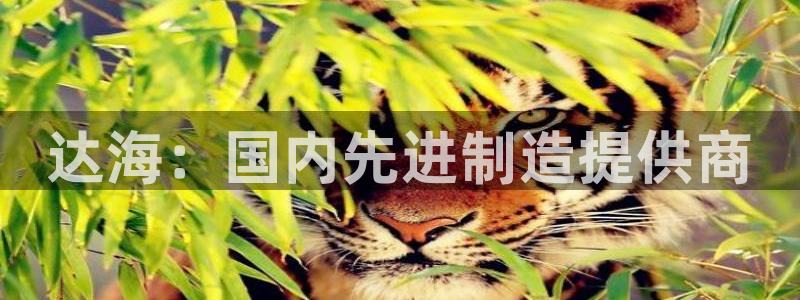 天辰娱乐论坛