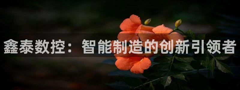 天辰娱乐视频