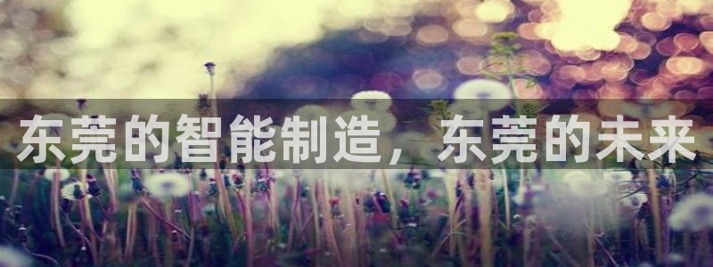 天辰娱乐1980：东莞的智能制造，东莞的未来