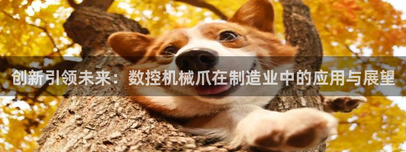 天辰娱乐 231639：创新引领未来：数控机械爪在制造业中的应用与展望