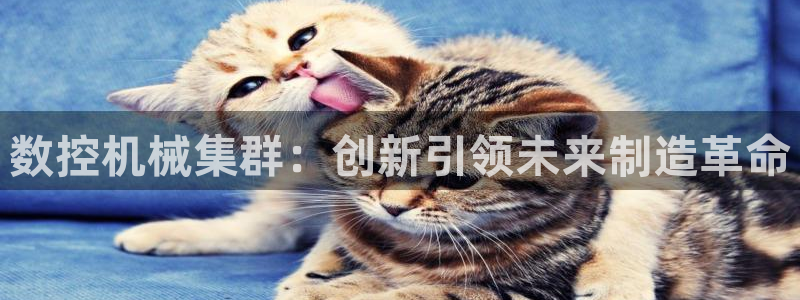 nba天辰娱乐