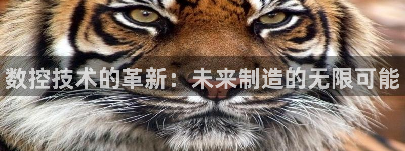 深圳天辰娱乐