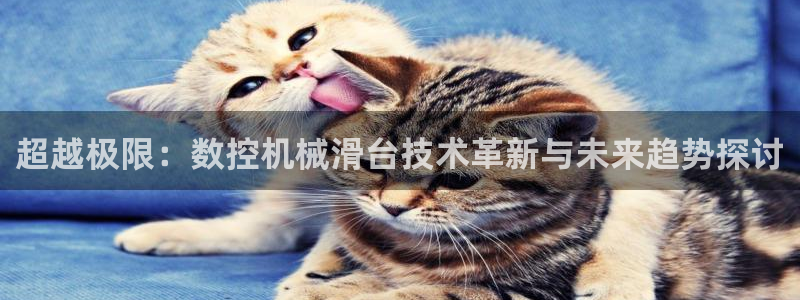 天辰娱乐会所