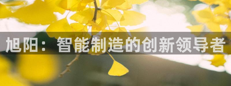 天辰娱乐股票