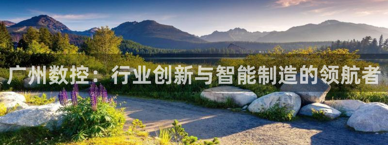 天辰娱乐平台地址在哪里