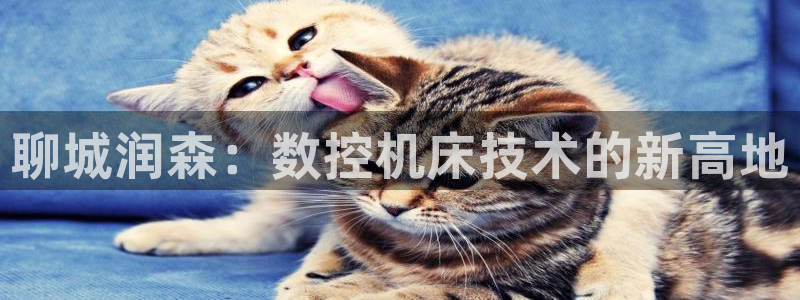 天辰娱乐39596