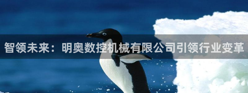 天辰娱乐官网平台入口