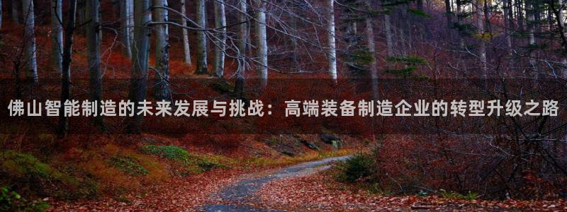南充天辰娱乐
