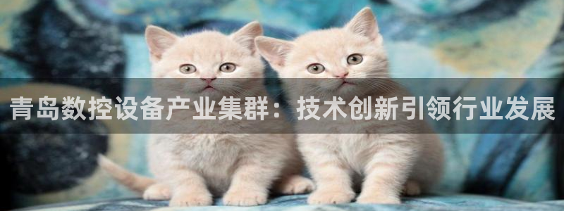 天辰娱乐61116