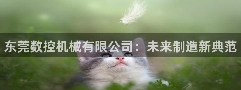 天辰娱乐 主管