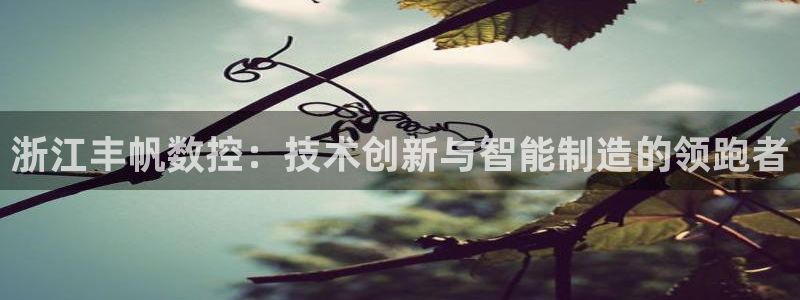 天辰娱乐 qq