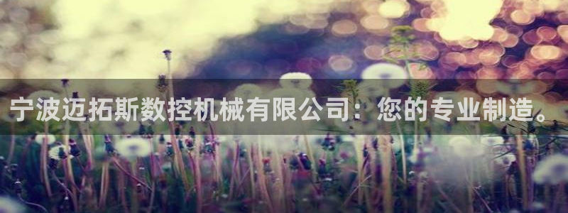 天辰娱乐地址