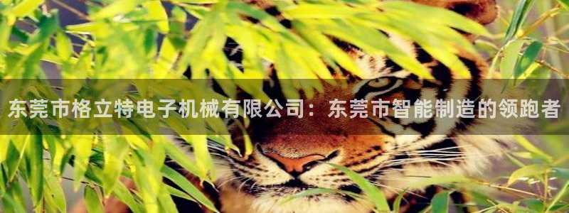 天辰娱乐会员