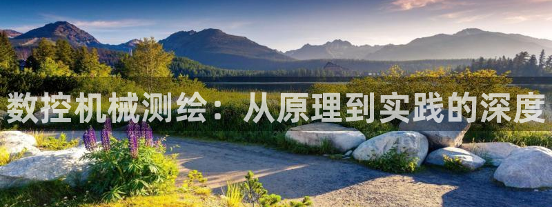 手机上怎么下载天辰娱乐