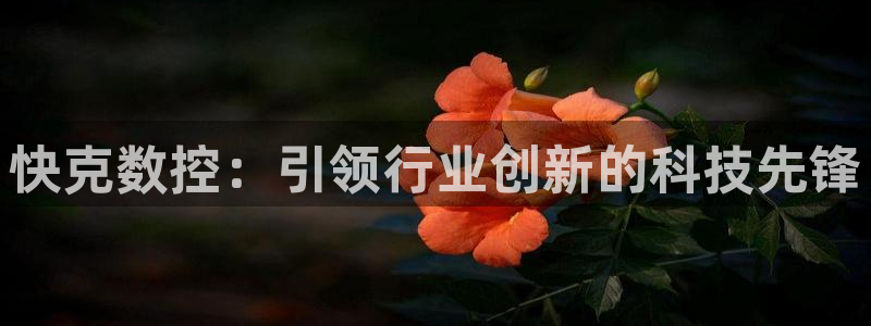 天辰娱乐_ 18113
