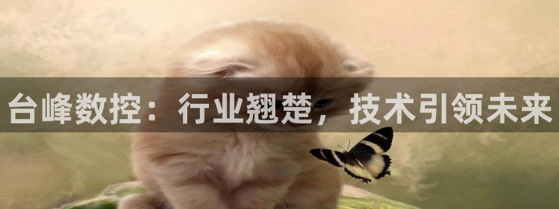 天辰娱乐小姐