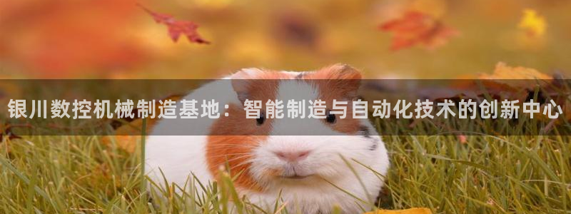 集宁天辰娱乐