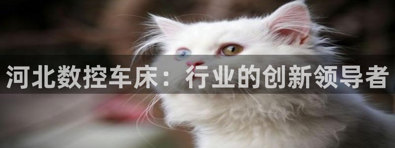 天辰臣娱乐