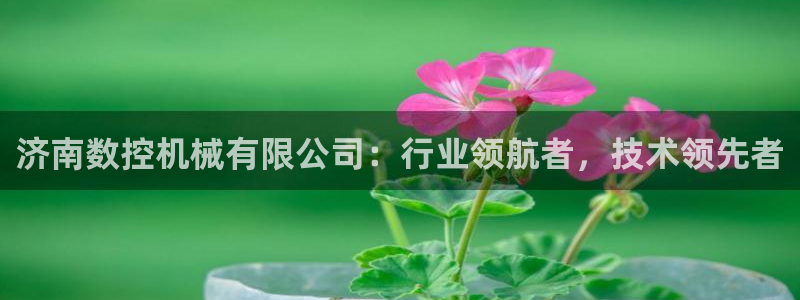 南京天辰娱乐