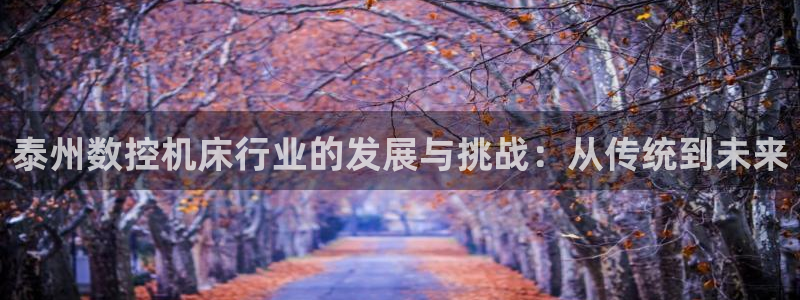 天辰娱乐股东