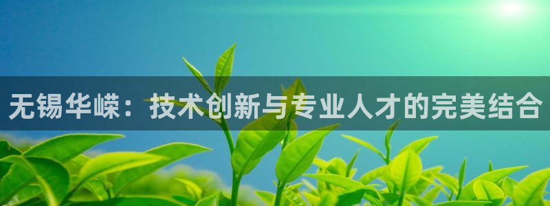 天辰娱乐在线