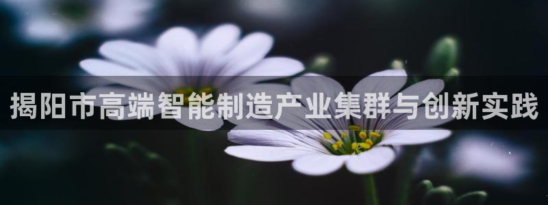 天辰娱乐卡