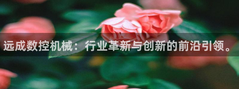 天辰娱乐44616