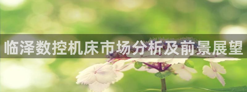 天辰彩票娱乐