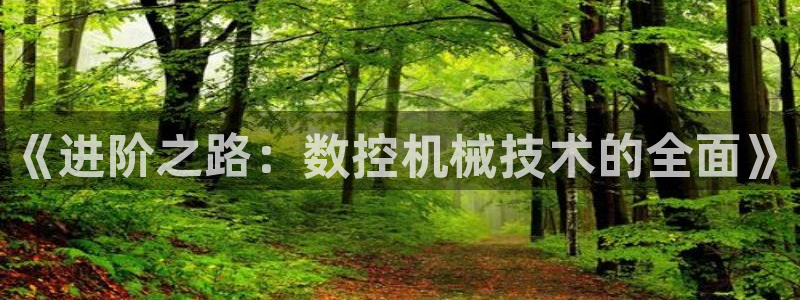 天辰娱乐885544