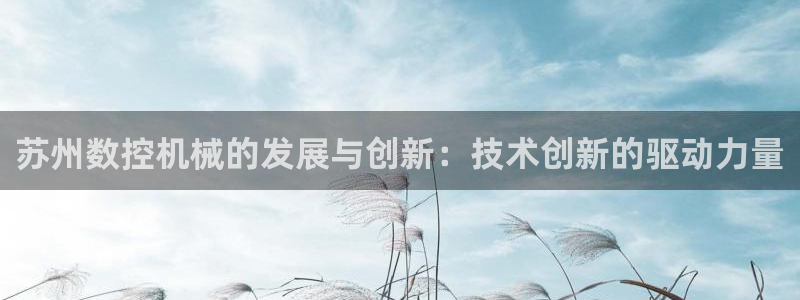 天辰娱乐上级