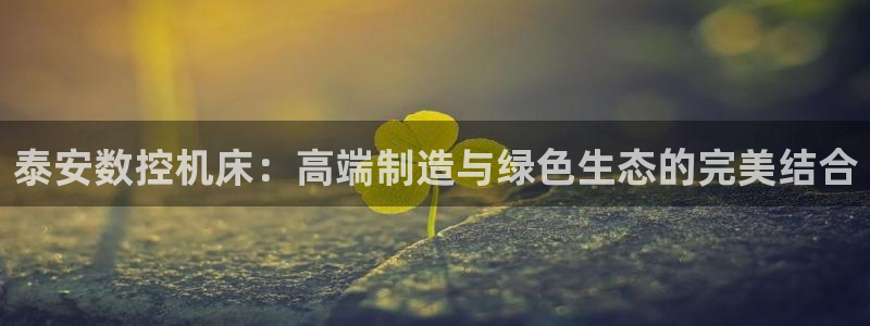 天辰娱乐957807