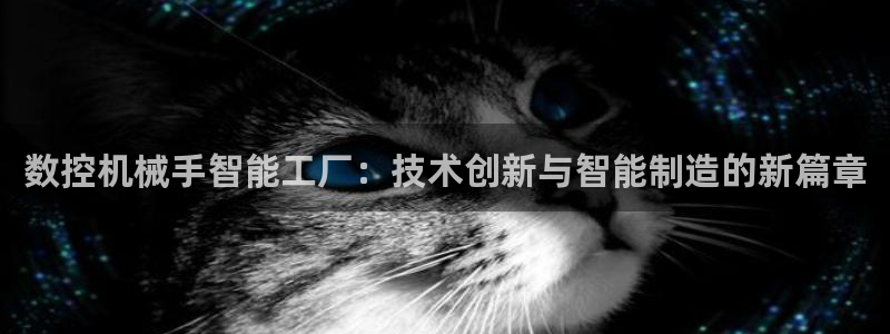 辰天娱乐