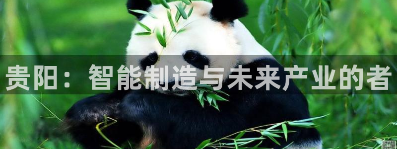 天辰娱乐557448