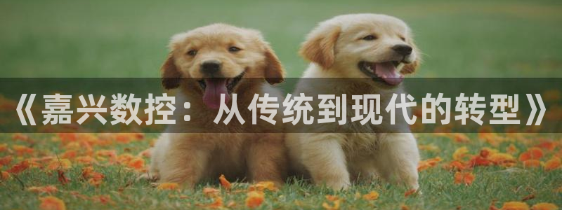 天辰娱乐登陆平台