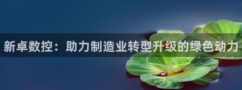 天辰娱乐61116