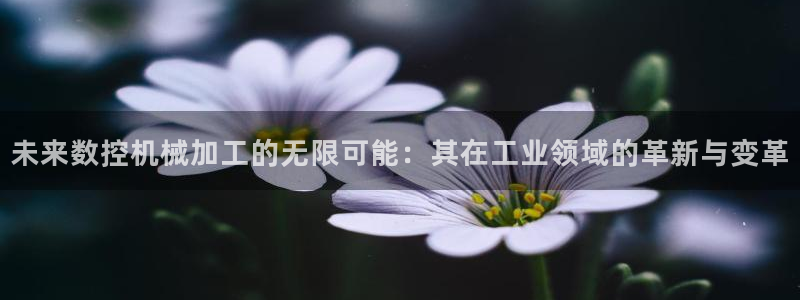 天辰娱乐小妹