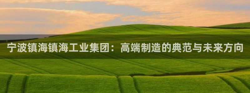 天富娱乐与天辰娱乐：宁波镇海镇海工业集团：高端制造的典范与未来方向