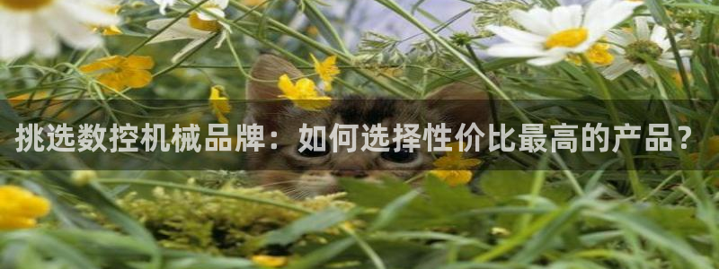 深圳天辰娱乐