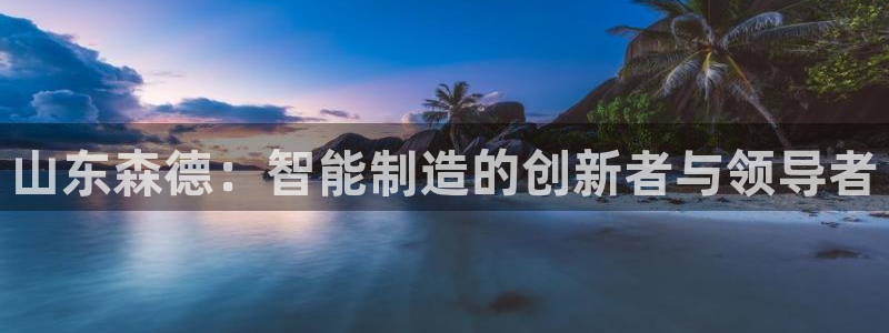 天辰娱乐平台娱乐注册：山东森德：智能制造的创新者与领导者