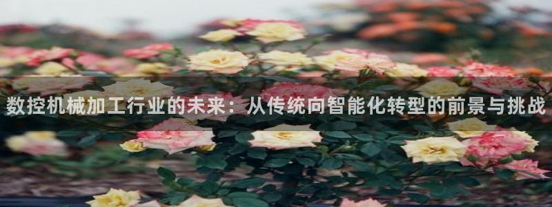 天辰娱乐官方