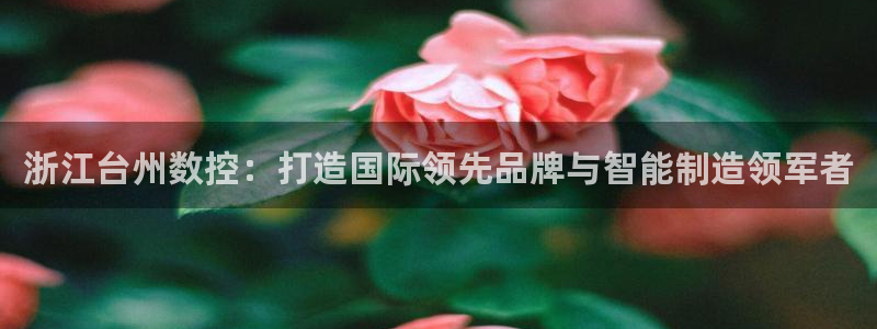 天辰娱乐 231639