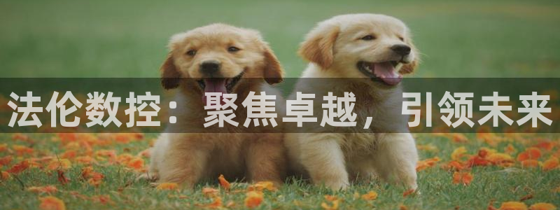 天富娱乐与天辰娱乐