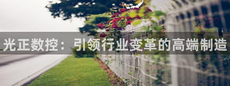 手机上怎么下载天辰娱乐