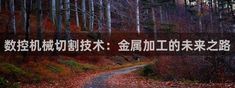 天辰娱乐平台注册