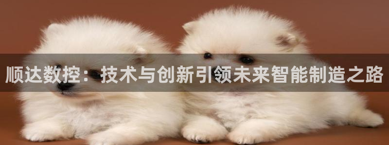 天辰娱乐公司：顺达数控：技术与创新引领未来智能制造之路